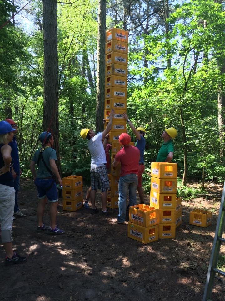 10959622_947292555323634_7801406144758614308_n